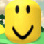 LemonSkate