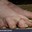 UÑASCONMIERDA