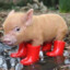 Un cochon avec des bottes