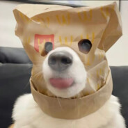 把你的参数再拉高一点