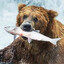 GrizzlyD33