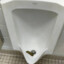 Pooped Urinal
