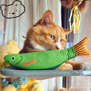 狸花猫和秋刀鱼