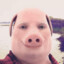 Jon &quot;Bayduhh&quot; Pork
