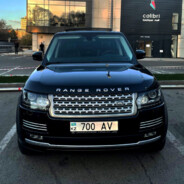 w700 avatar