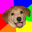 plappy dog yummy