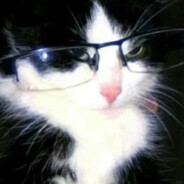 下次不要再这样了