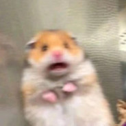 美国队长他老婆