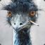 = RTS = Griffon