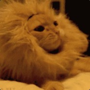 2297513101