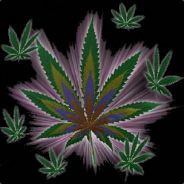 l.baumgarte - steam id 76561197970994185