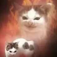 老坛酸菜牛肉饭