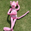 Pantera cor de Shota