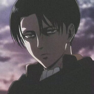Levi