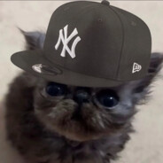 Felix