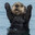 otter