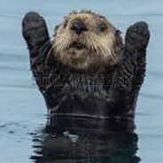 otter
