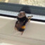 Beehaw