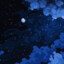 LunaNightgale