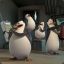 rowanpenguin