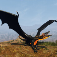 【DND】黑龙王小夜煞