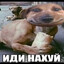 bweet7
