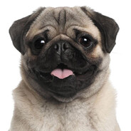 Стильный парень