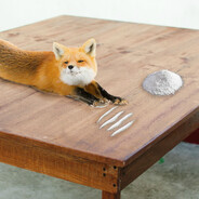 KetamiiniKettu - steam id 76561198304229273