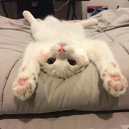 网恋萌新孙笑川