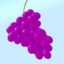 the holly grape