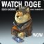 Watch_Doge ( ͡° ͜ʖ ͡°)