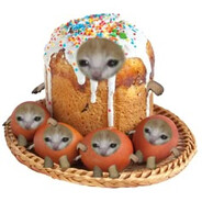 денис колбасенко