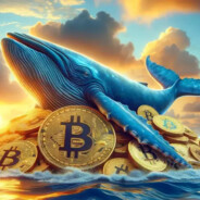 USDT CLEANING ANY COUNTRY