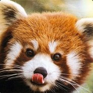 Reddopanda