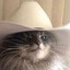 evil wizard kat