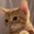 easie