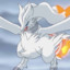 Reshiram