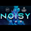 nR_Noisy