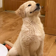 没法子就想办法