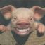 =pig=Mr.Piggy