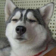 白给大师 见面大残