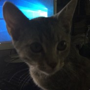 2.5 hours past 2 weeks.