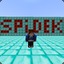 Spidek100