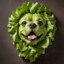 Dog Lettuce