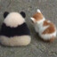 pandaboy3122