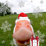 Duck_Chok