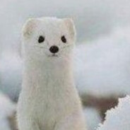 芋泥波波加芋圆