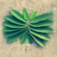 我命由我不由天