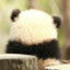 邻村二大爷的三叔公
