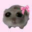 cutehamster